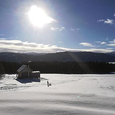 Praschhof Villa Mariapfarr Eksteriør billede