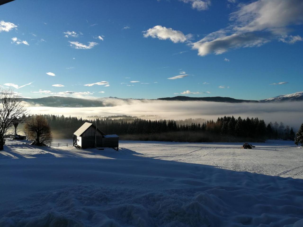 Praschhof Villa Mariapfarr Eksteriør billede